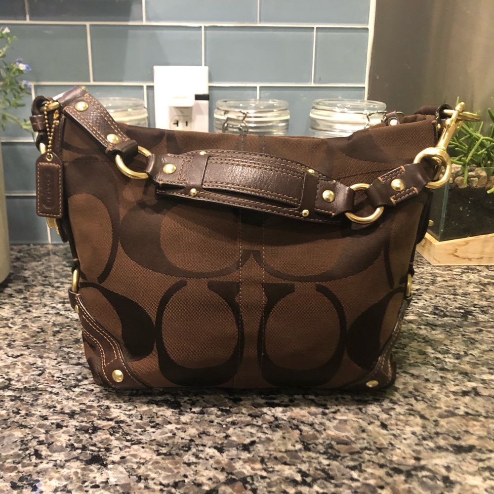 Coach Carly Hobo Signature Bag